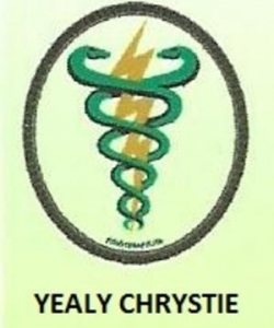 Yealy Chrystie Gama Fárias Brito Yealy Chrystie Gama Fárias Brito